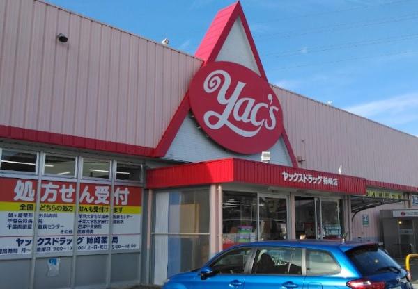 市原市姉崎の中古一戸建て(ヤックスドラッグ姉崎店)