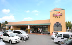大網白里市ながた野２丁目の中古一戸建て(主婦の店大網店)