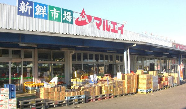 ダイアパレス千葉青葉台ウエストアベニュー(新鮮市場マルエイ姉崎店)