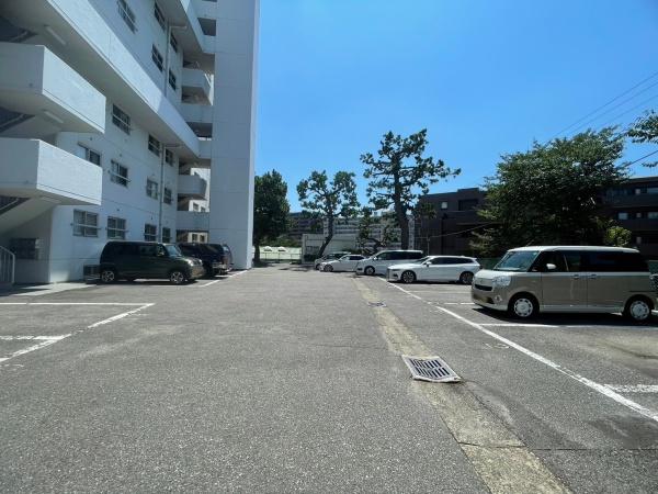 ドルフ稲毛