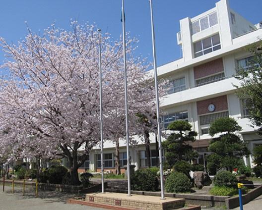 ドメイン土気(千葉市立土気小学校)