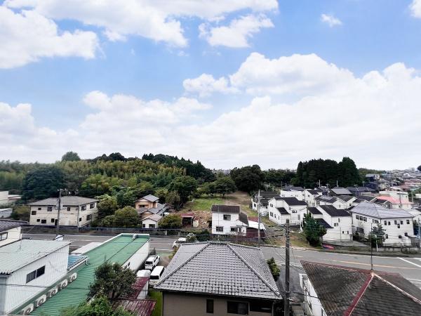 ドメイン土気