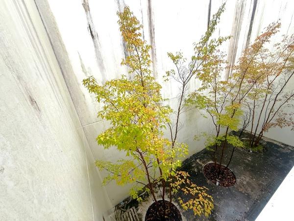 千葉市緑区おゆみ野南５丁目の中古一戸建て