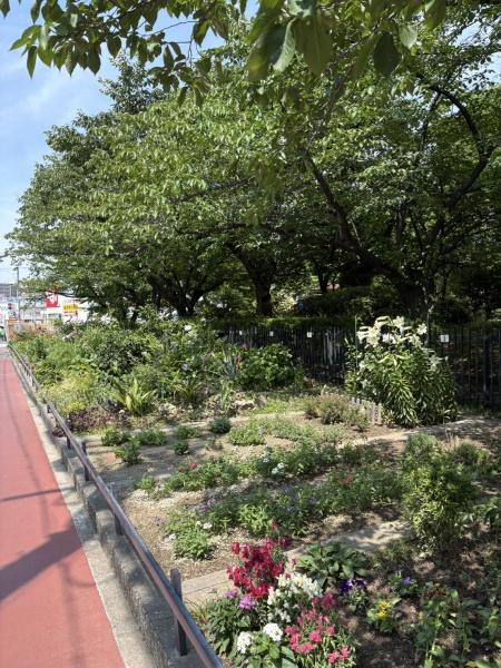 京橋グリーンハイツ一号棟