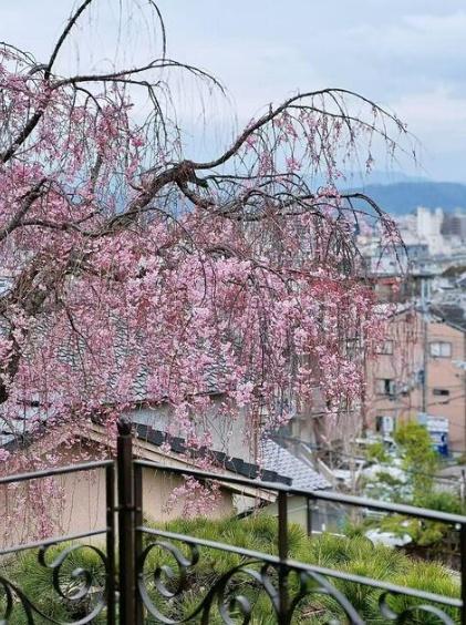 京都市北区紫野北舟岡町の中古一戸建て