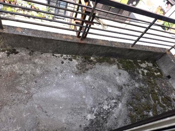 堺市堺区大浜北町１丁の中古一戸建て
