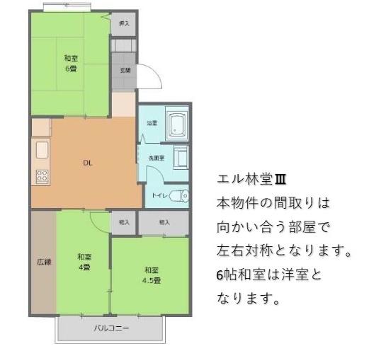 エル林堂３・５