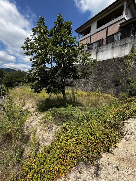 姫路市香寺町須加院の土地