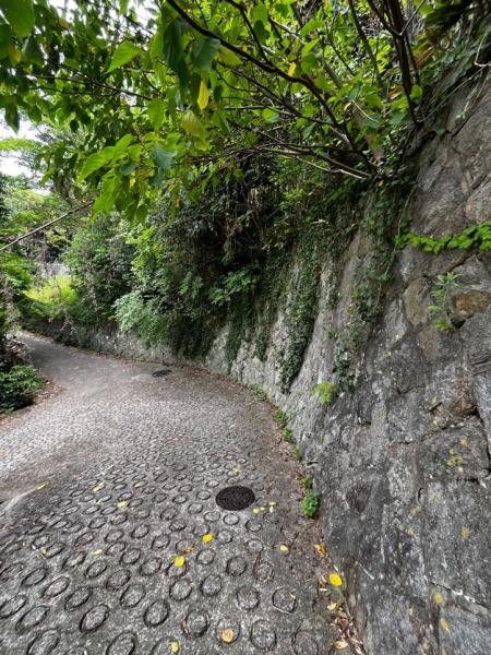 神戸市北区鈴蘭台西町１丁目の土地