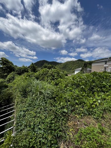神戸市北区有野町唐櫃の土地
