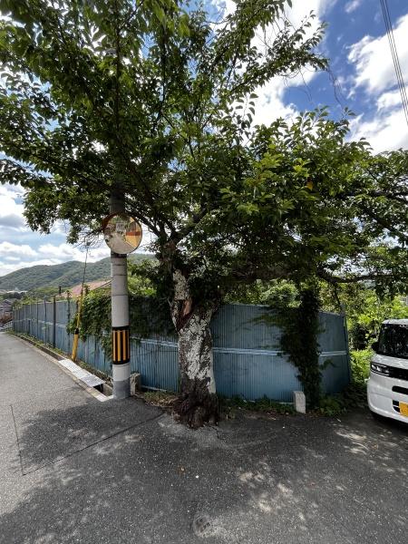 神戸市北区有野町唐櫃の土地