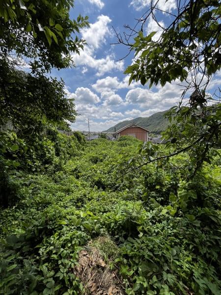 神戸市北区有野町唐櫃 土地