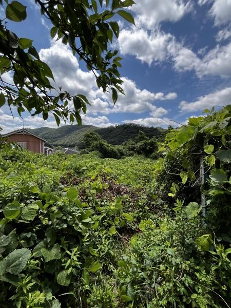 神戸市北区有野町唐櫃の土地