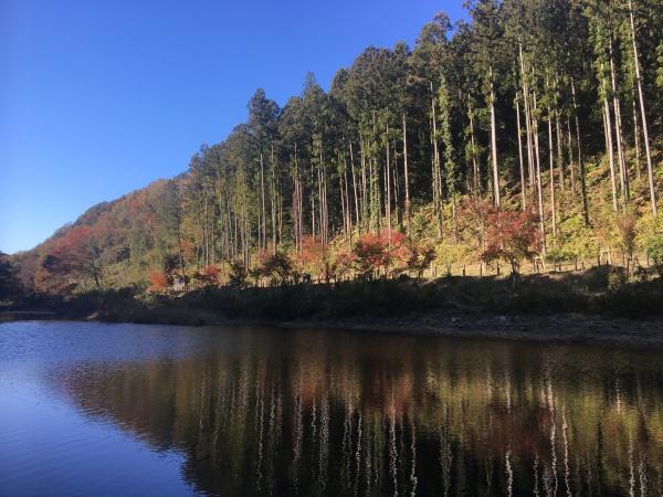 比企郡嵐山町大字廣野の中古一戸建て(嵐山渓谷)