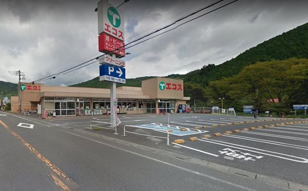 飯能市大字中藤上郷の土地(エコス原市場店)
