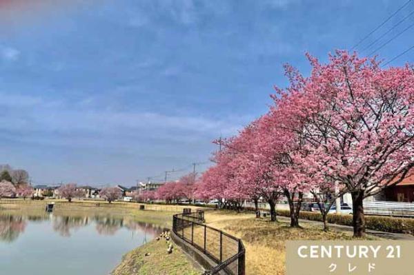 比企郡滑川町月の輪3丁目の中古一戸建て(なかまる公園)