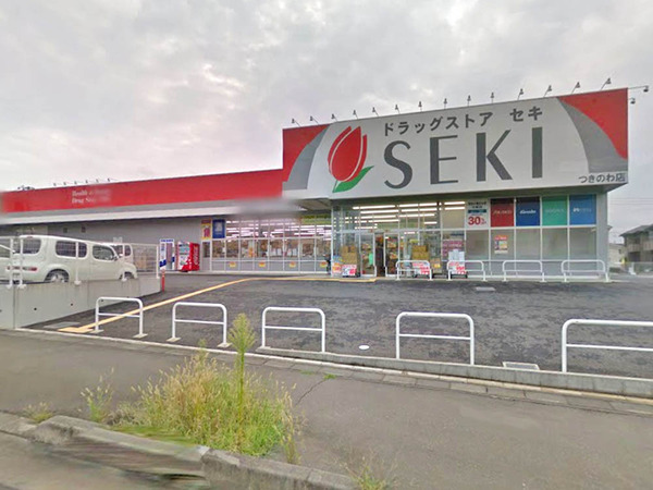 東松山市大字上唐子の中古一戸建て(ドラッグストアセキつきのわ店)