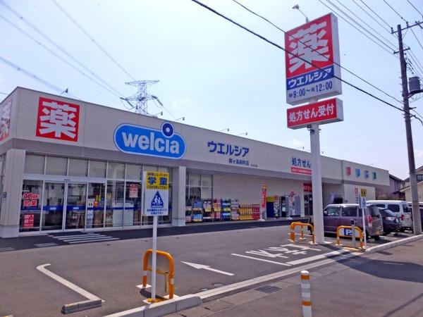 鶴ヶ島市中新田6期 新築分譲住宅 全2棟 1号棟(ウエルシア鶴ヶ島新町店)