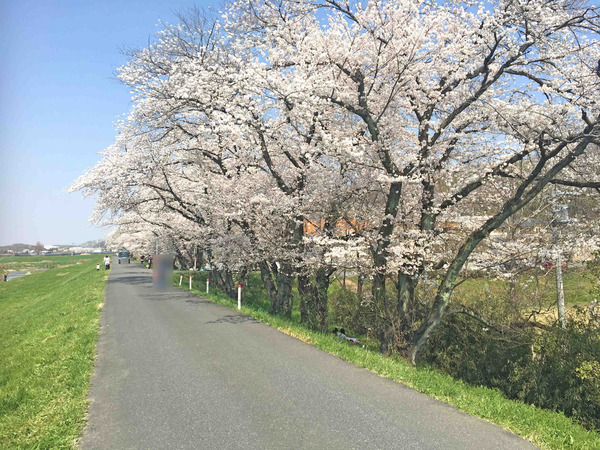 東松山市大字大谷の中古一戸建て(吉見百穴)