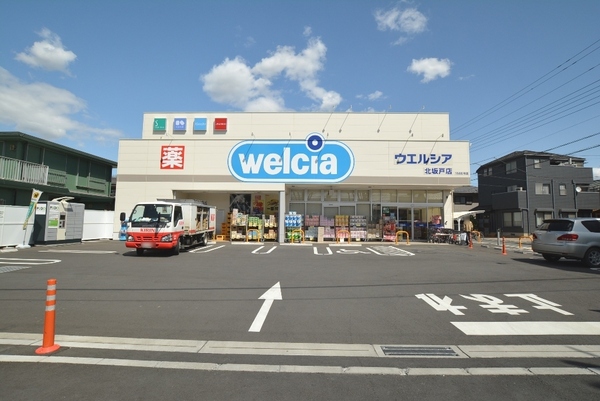 坂戸市片柳5期　新築分譲住宅　全2棟　1号棟(ウエルシア北坂戸店)