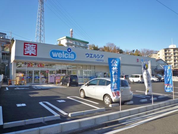 川越市扇河岸　新築一戸建て(ウエルシア川越岸町店)