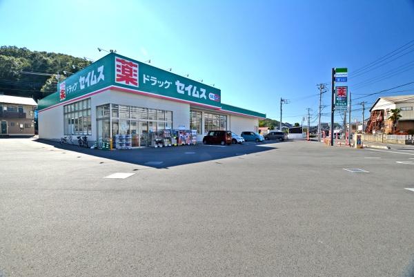 ハイネス入間ガーデニア3号棟(ドラッグセイムス入間仏子店)