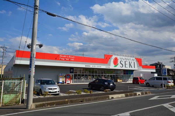 坂戸市塚越　新築一戸建て(ドラッグストアセキ坂戸石井店)