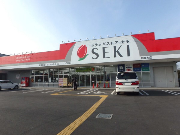 東松山市松葉町　新築分譲住宅　全2棟　1号棟(ドラッグストアセキ松葉町店)
