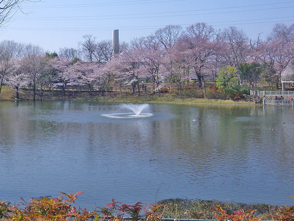 川越市霞ヶ関北14期　新築一戸建て(御伊勢塚公園)