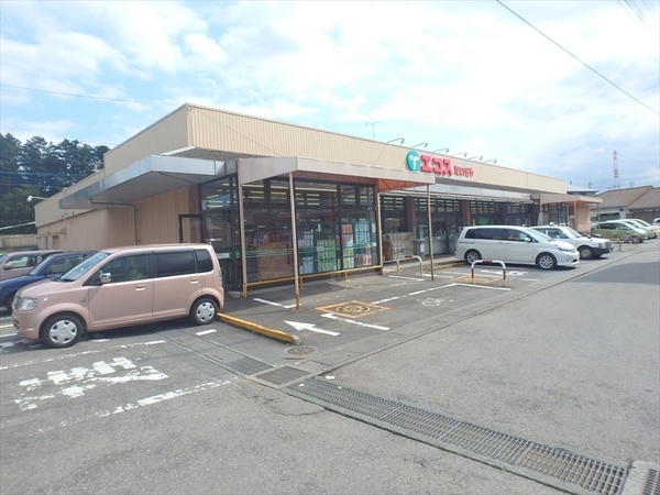 日高市高萩東1丁目　新築一戸建て(エコス高萩店)