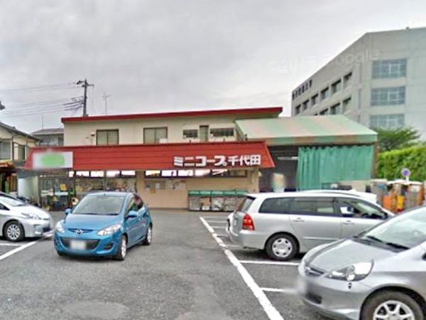 若葉グリーンハイツ　D号棟(ミニコープ千代田店)