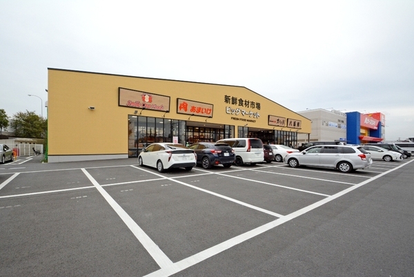 ライオンズマンション坂戸(ビッグマーケット鶴ヶ島店)