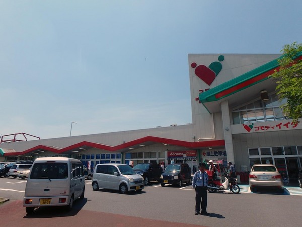 坂戸市大字堀込の中古一戸建て(コモディイイダ坂戸にっさい店)