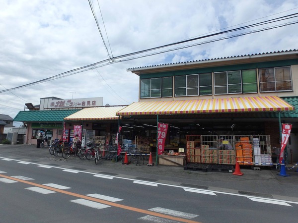 吉見町久保田　新築分譲住宅　全2棟　2号棟(中村ストアー吉見店)