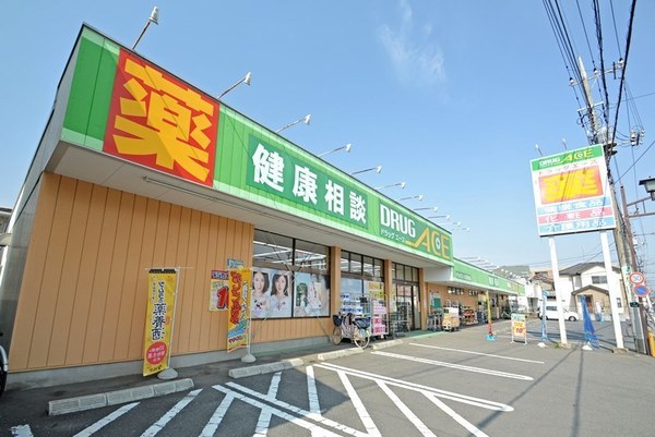 川越市寺尾　新築一戸建て(ドラッグ・エース新河岸店)