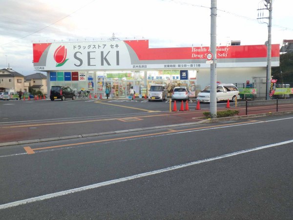 毛呂山町若山第8　新築一戸建て(ドラッグストアセキ武州長瀬店)
