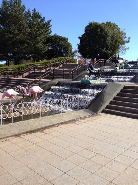 鳩山町楓ヶ丘3丁目　新築一戸建て(埼玉県こども動物自然公園)