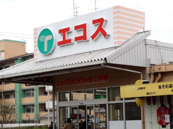 川越市笠幡第六　新築一戸建て(エコスTAIRAYA川鶴店)
