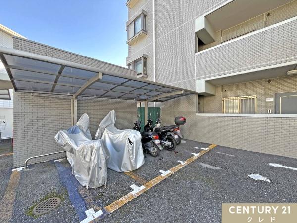 フォルテコート若葉