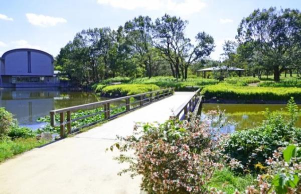 堺・泉北光明池城山公園シンシア(城山公園)