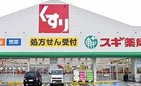 高石市綾園6丁目の土地(スギ薬局高石駅前店)