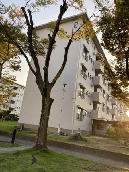 浅香山住宅8号棟