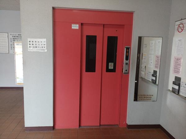 サンフラワー高石