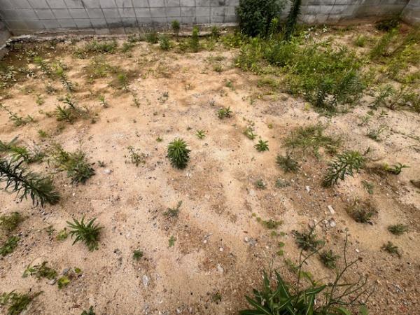 堺市堺区緑町２丁の土地