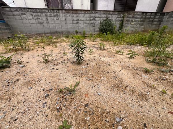 堺市堺区緑町２丁の土地