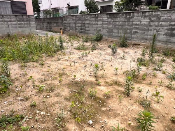堺市堺区緑町２丁の土地