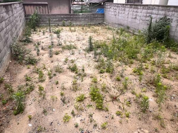 堺市堺区緑町２丁の土地