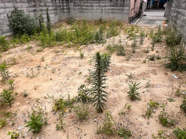 堺市堺区緑町２丁の土地