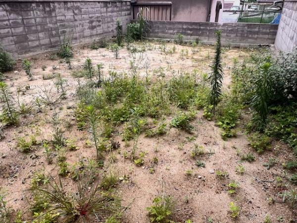 堺市堺区緑町２丁の土地