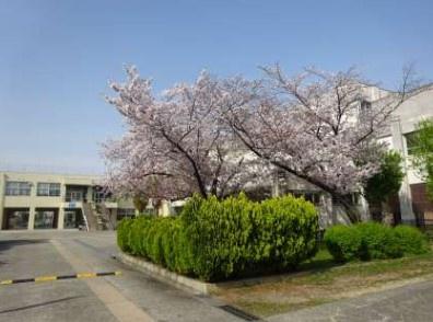 新檜尾台第3次住宅25号棟(堺市立赤坂台中学校)